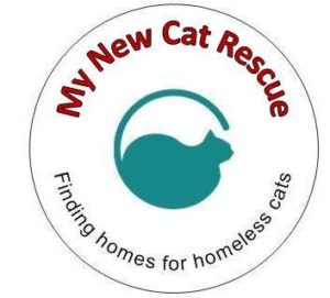 My New Cat Logo